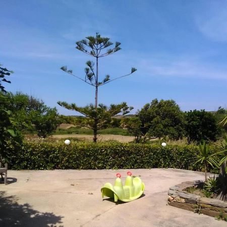 הוילה סאסארי Il Canneto מראה חיצוני תמונה